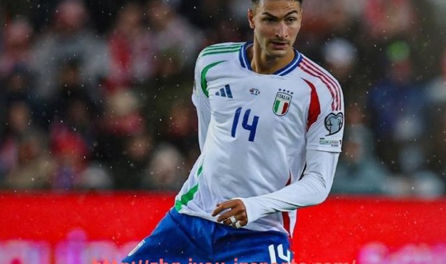 jiuyou九游娱乐-2019升英超球队表现亮点与保级预测